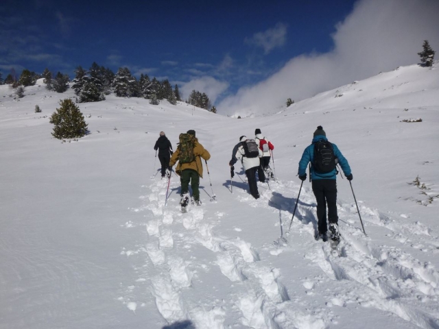  Avancer dans la neige avec des raquettes aux pieds 